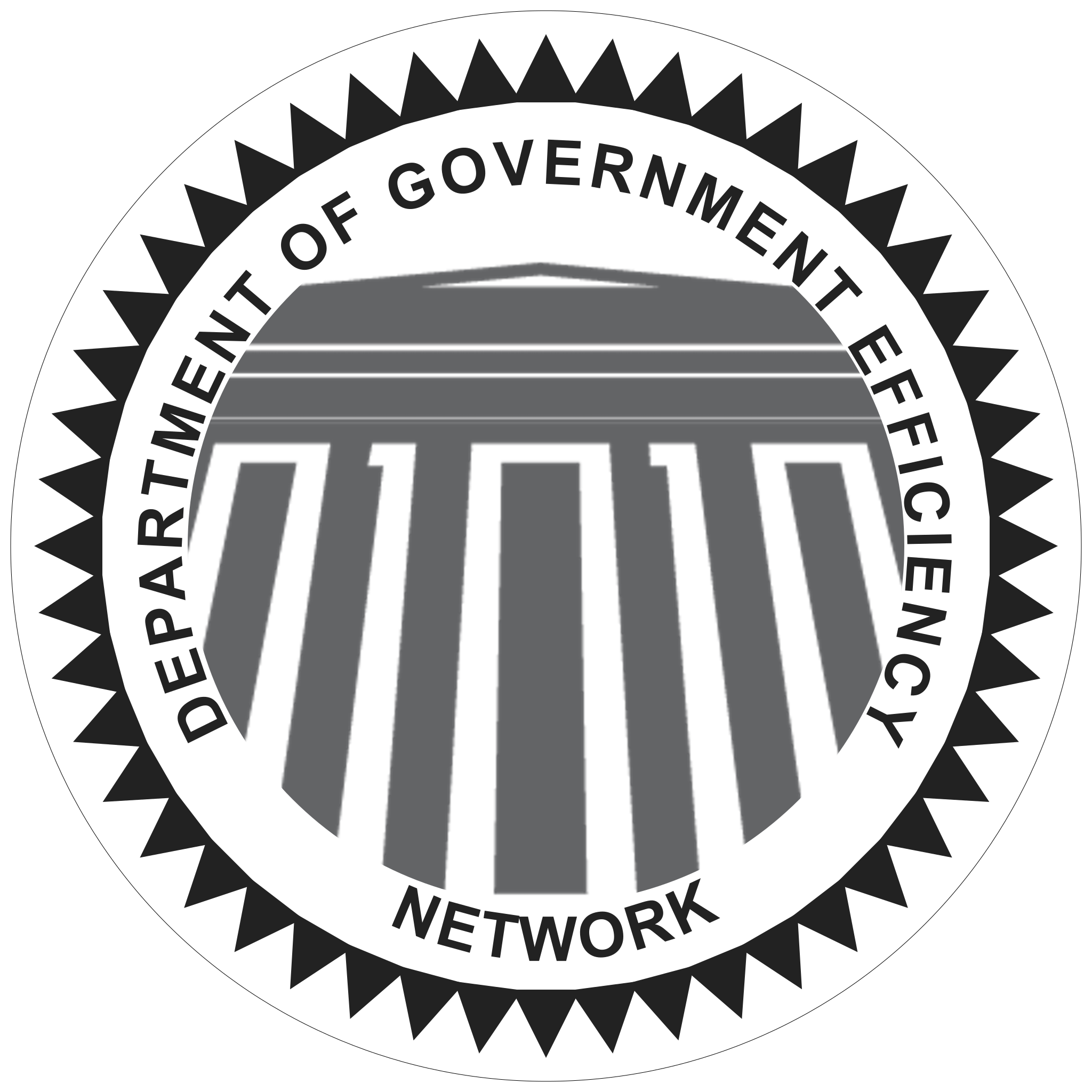 DOGE Network Logo